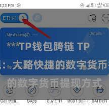 TP钱包跨链 TP钱包提现：大略快捷的数字货币提现方式